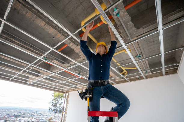 Best Plumbing Repair Near Me  in Lanark, IL